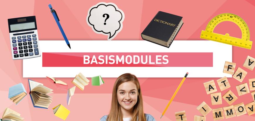 Basismodules